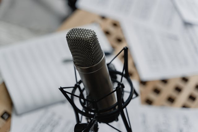 Bot Persona & Voice Selection